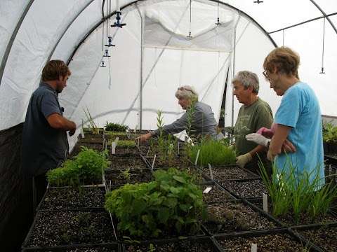 Photo: Coolum Community Native Nursery